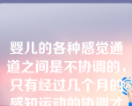 婴儿的各种感觉通道之间是不协调的，只有经过几个月的感知运动的协调才能将各种信息综合。