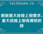 根据重大故障上报要求，重大故障上报有哪些阶段