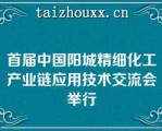 首届中国阳城精细化工产业链应用技术交流会举行