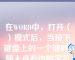 在WORD中，打开（）模式后，当按下键盘上的一个键时，插入点右边的字符会被替代掉。