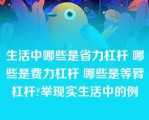 生活中哪些是省力杠杆 哪些是费力杠杆 哪些是等臂杠杆?举现实生活中的例