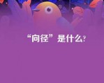 “向径”是什么?