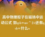 高中物理粒子在磁场中运动公式 如qvb=mv^2/r还有qvb=什么w