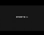 数字音频广播（DA