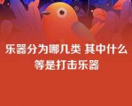 乐器分为哪几类 其中什么等是打击乐器