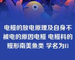 电鳗的放电原理及自身不被电的原因电鳗 电鳗科的鳗形南美鱼类 学名为El