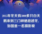 2015年冬天有3000多只白天鹅来到三门峡栖息越冬．如图是一名摄影爱