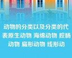 动物的分类以及分类的代表原生动物 海绵动物 腔肠动物 扁形动物 线形动