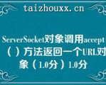 SeveSocke对象调用accep（）方法返回一个URL对象（1.0分）1.0分