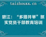 碧江：“多措并举”抓实党员干部教育培训