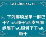 5、下列哪项是单一淋巴干？\A:颈干\B:支气管纵隔干\C:锁骨下干\D:肠干