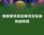 观察黄瓜表层果肉实验视频视频饿