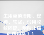 生用重镇潜阳、安神、软坚，煅用收敛固涩、制酸止痛的药物是（）。