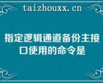 指定逻辑通道备份主接口使用的命令是