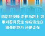 雨后的夜晚 走在马路上 如果对着月亮走 你应该走在明亮的地方 还是走在