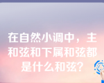 在自然小调中，主和弦和下属和弦都是什么和弦？