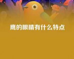 鹰的眼睛有什么特点