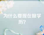 为什么要现在报学历？