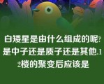 白矮星是由什么组成的呢?是中子还是质子还是其他.1 2楼的聚变后应该是