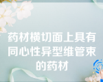 药材横切面上具有同心性异型维管束的药材