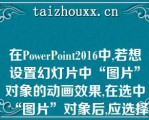 在PowePoi2016中,若想设置幻灯片中“图片”对象的动画效果,在选中“图片”对象后,应选择______