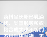 药材呈长卵形乳滴状、类圆形颗粒或粘合成大小不等的不规则块状物，表面黄白色，半透明的药材是