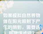 如果模拟自然界物体在阳光照射下产生的阴影，需要选用哪项滤镜？