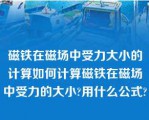 磁铁在磁场中受力大小的计算如何计算磁铁在磁场中受力的大小?用什么公式?