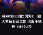 将SO2和Cl2的比例为1：1混入紫色石蕊试剂 溶液不褪色 为什么?反