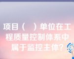 项目（  ）单位在工程质量控制体系中属于监控主体？