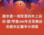 跳水是一项优美的水上运动 图7甲是2008年北京奥运会跳水比赛中小将陈