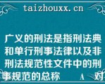 广义的刑法是指刑法典和单行刑事法律以及非刑法规范性文件中的刑事规范的总称		A	对	B	错