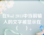 在Wod 2013中当前输入的文字被显示在（    ）。