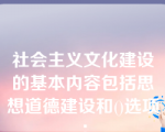 社会主义文化建设的基本内容包括思想道德建设和()选项：