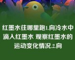 红墨水往哪里跑1.向冷水中滴入红墨水 观察红墨水的运动变化情况.2.向