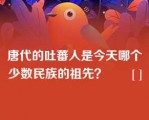 唐代的吐蕃人是今天哪个少数民族的祖先？       [ ]