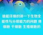 谁能详细的讲一下生物全能性与分裂能力的问题 体细胞 干细胞 生殖细胞的