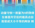 动量守恒一质量为M的物体在垂直升空后的最高点自我裂成大小不等的两块 则