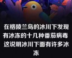 在格陵兰岛的冰川下发现有冰冻的十几种番茄病毒 这说明冰川下面有许多冰冻