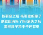 核裂变之后 核裂变的原子是就此消失了吗?消失之后 那些质子和中子还有电