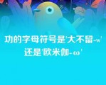 功的字母符号是'大不留-w'还是'欧米伽-ω'