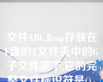 文件ABC.Bmp存放在F盘的T文件夹中的G子文件夹下,它的完整文件标识符是()。