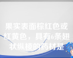 果实表面棕红色或红黄色，具有6条翅状纵棱的药材是