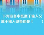 下列设备中既属于输入又属于输入设备的是（　　）