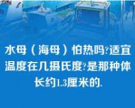 水母（海母）怕热吗?适宜温度在几摄氏度?是那种体长约1.3厘米的.