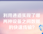 利用通道实现了哪两种设备之间数据的快速传输？