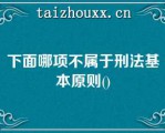 下面哪项不属于刑法基本原则()