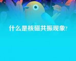 什么是核磁共振现象?