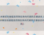 水解反应是酯类药物在体内代谢的主要途径（水解反应是酯类药物在体内代谢的主要途径对吗）