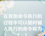 在其他命令执行的过程中可以随时输入执行的命令称为（  ）。